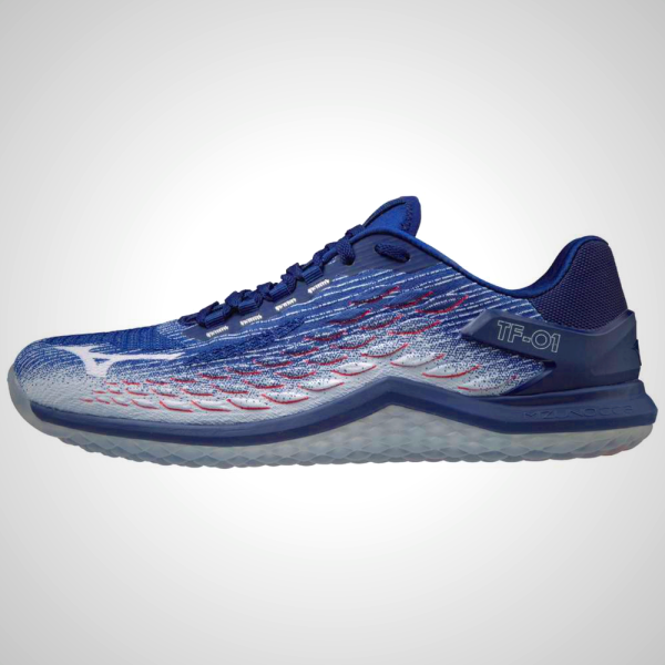 Blue Mizuno TF-01 Men's Training Shoes | 93182-QPAS